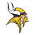 Minnesota Vikings